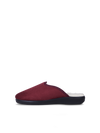 Holly Red