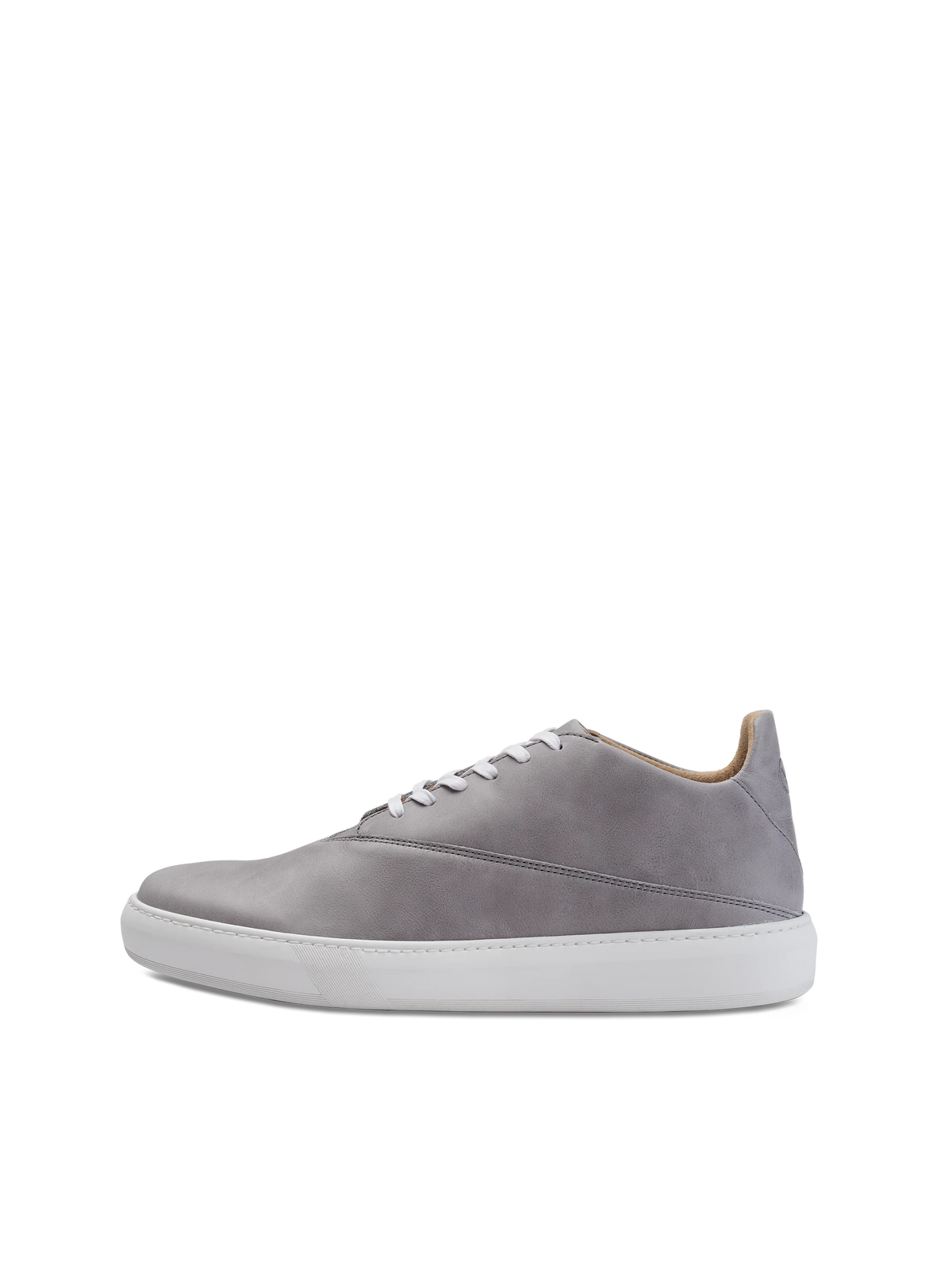 Veny Grey