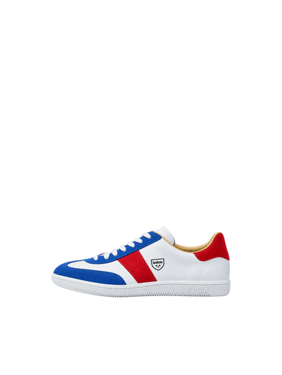 Iconic Tricolor